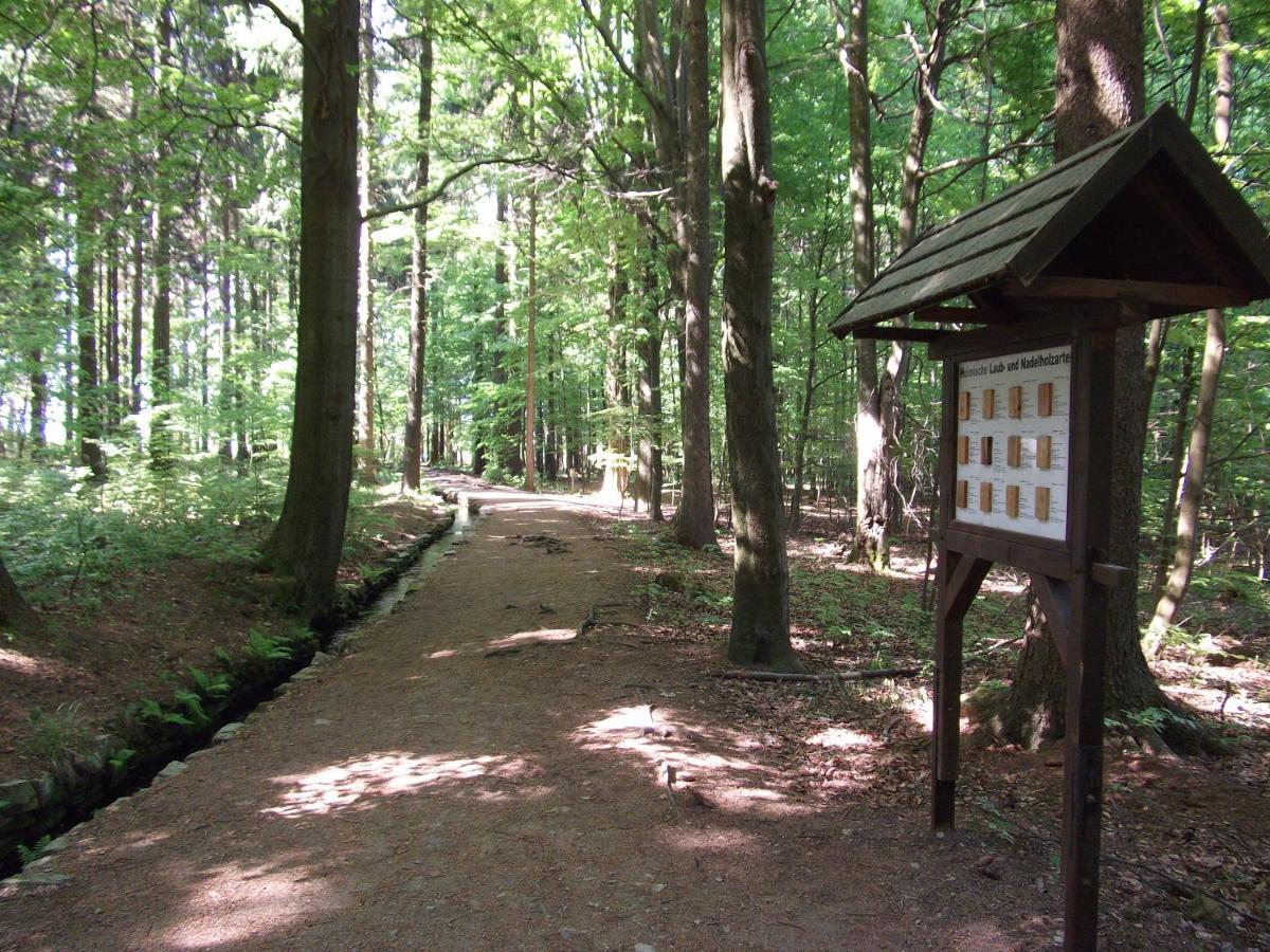 Ferienwohnung Erzgebirge - Pobershau - Mit Schoenem Ausblick, Ruhige, Beste Lage Zewnętrze zdjęcie